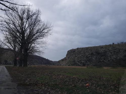 Cheile Dobrogei