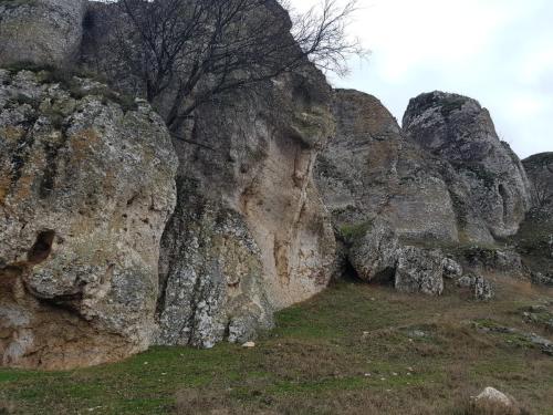 Cheile Dobrogei13
